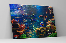 Obraz Život v mori 1453